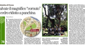 La Stampa/ediz. Torino – Salvate il magnifico “cornuto”, il cedro ridotto a panchina